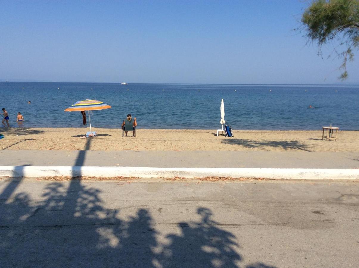 Paradise Blue Paradisos Dış mekan fotoğraf