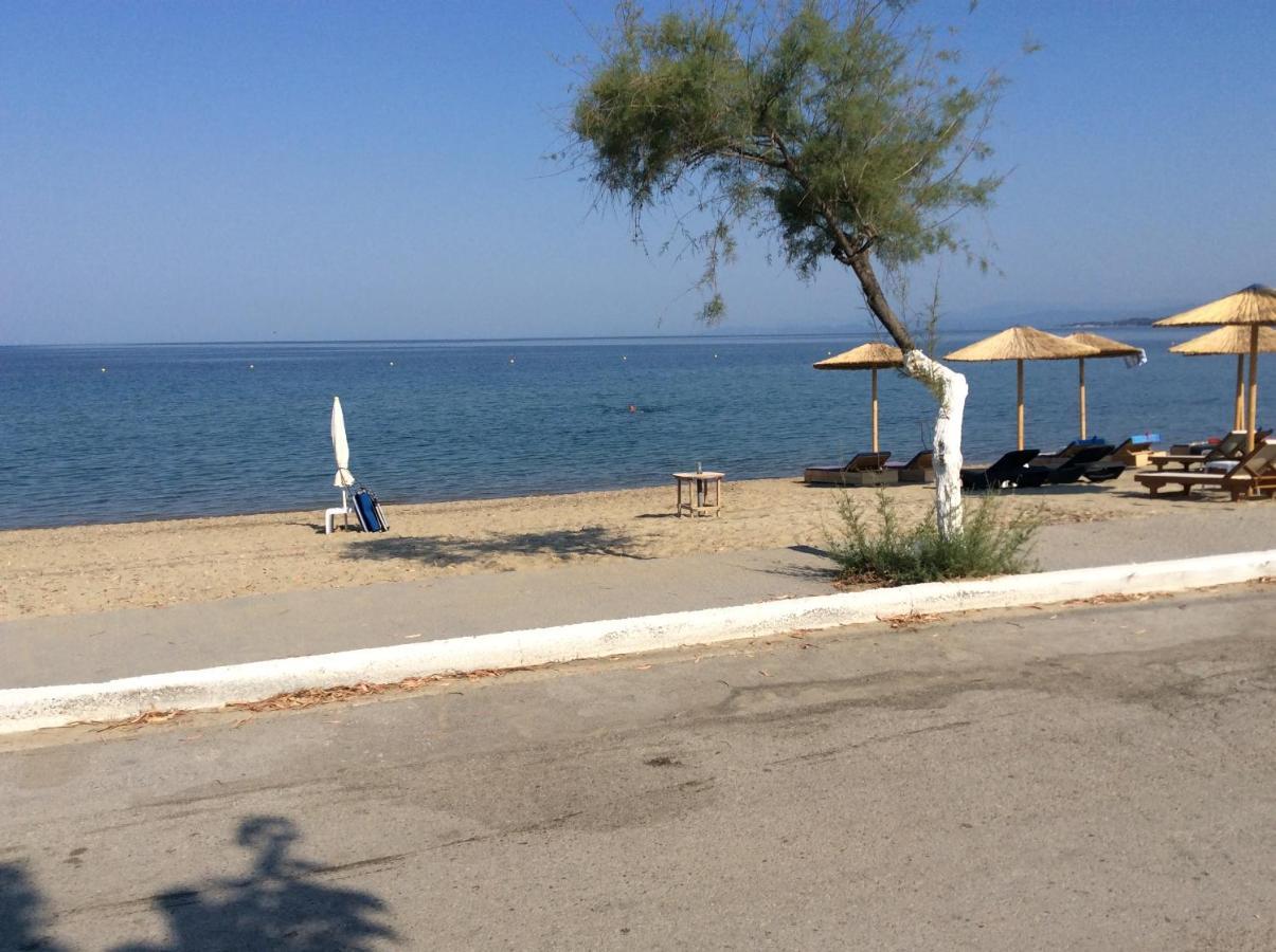 Paradise Blue Paradisos Dış mekan fotoğraf